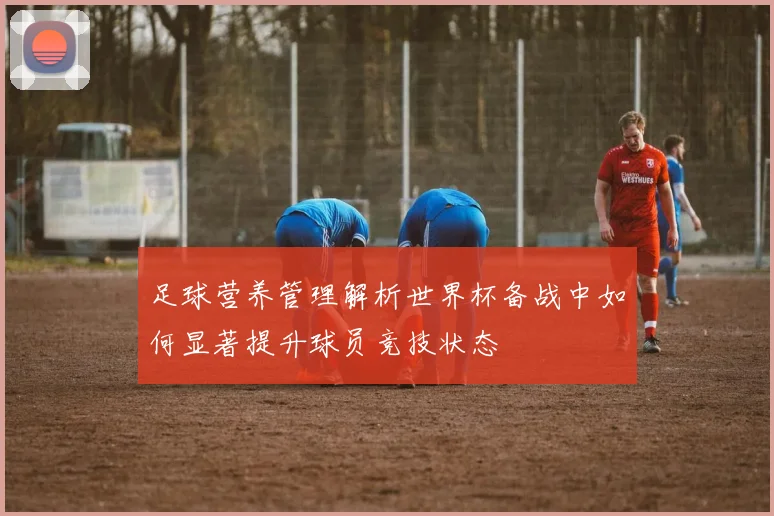 足球营养管理解析世界杯备战中如何显著提升球员竞技状态